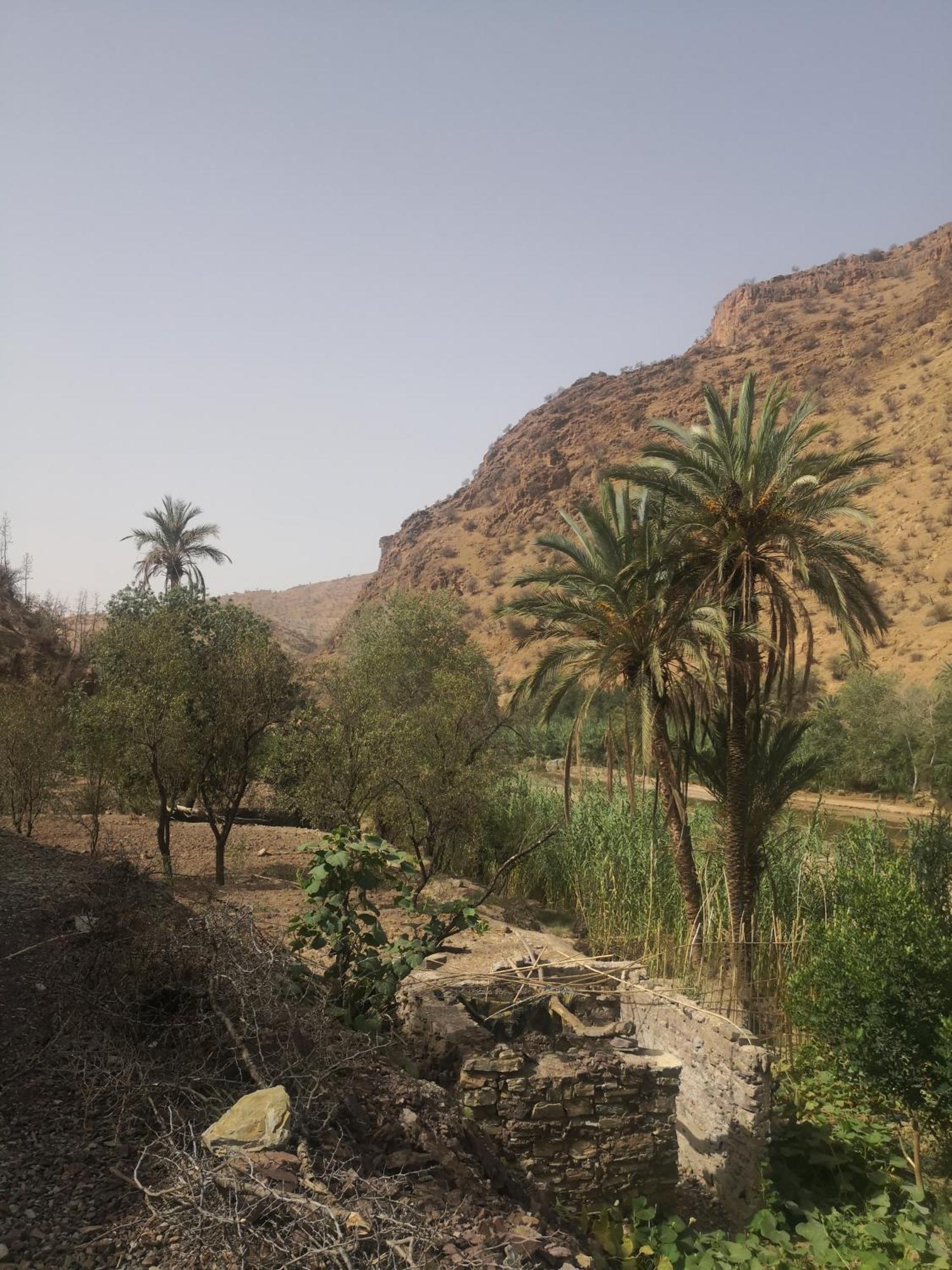 Auberge Kasbah Amoun Taliouine Exterior photo